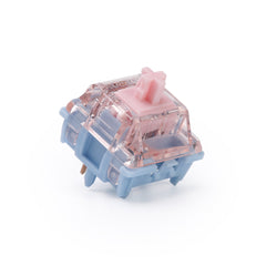 Switches x 50