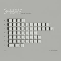 PBTfans X-ray R3