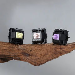 Switches x 50