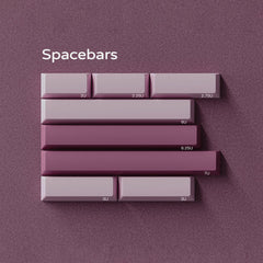 PBTfans Spacebar Kit Collection