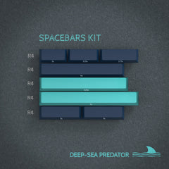 PBTfans Spacebar Kit Collection